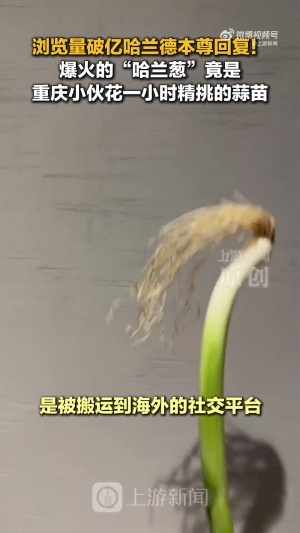 火爆WNBA芝加哥天空vs达拉斯飞翼比赛回放_火爆WNBA芝加哥天空vs达拉斯飞翼比赛回放在线观看_免费看直播