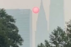 今日澳大利亚vs埃及全场录像_今日澳大利亚vs埃及全场录像在线观看_免费看直播